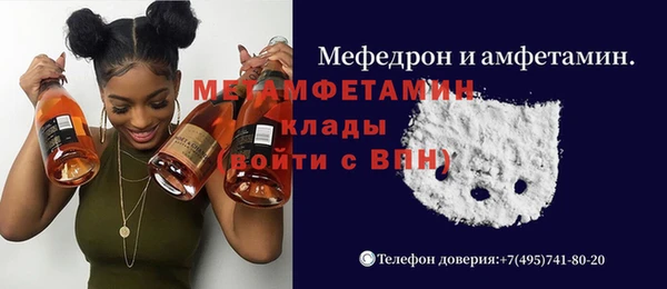 гидра Инсар