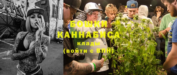 метадон Каменка