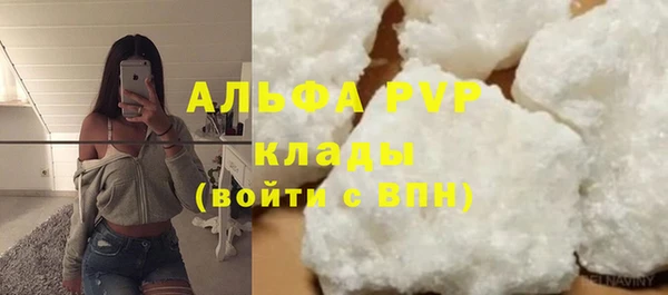 тгк Инта
