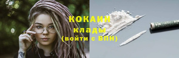 метадон Каменка