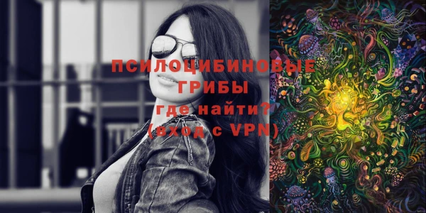 метадон Каменка