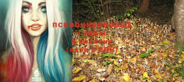 ECSTASY Каменногорск