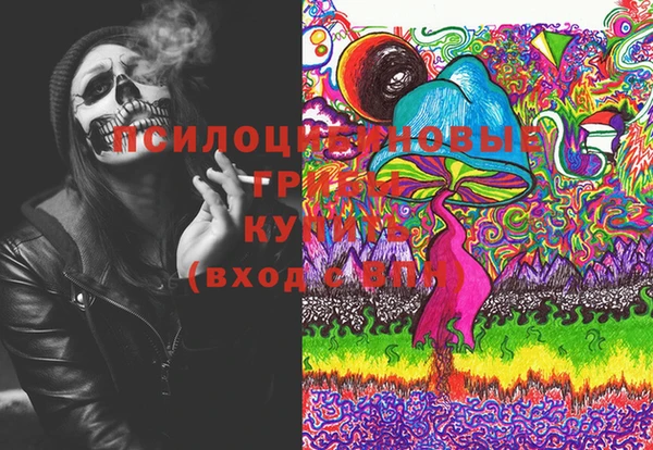 шишки Каменск-Шахтинский