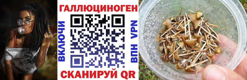 Купить  Ивангород  Псилоцибиновые грибы мицелий 